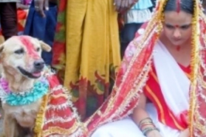 Enquanto espera pelo “príncipe encantado”, jovem se casa com um cachorro