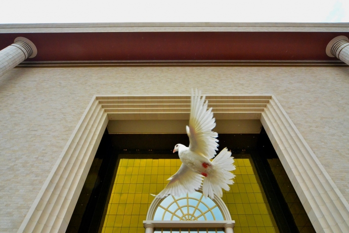 Imagem de capa - A cor dourada no Templo