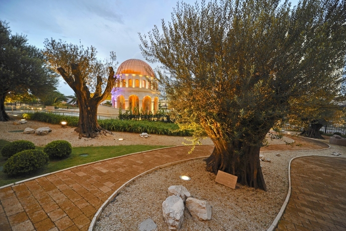 Imagem de capa - As Oliveiras no Templo  de Salomão