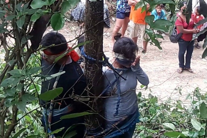 Imagem de capa - Mulher é amarrada a árvore com formigas venenosas e morre na Bolívia