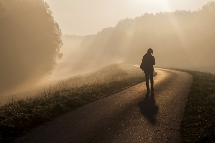 Imagem de capa - O caminho da luz