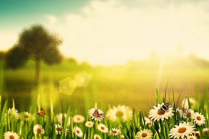 Imagem de capa - Deus faz o seu dia perfeito