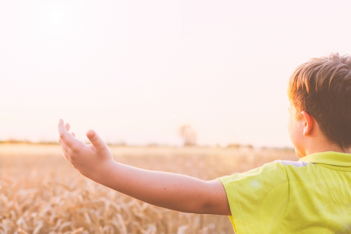 Imagem de capa - A porção de cada dia