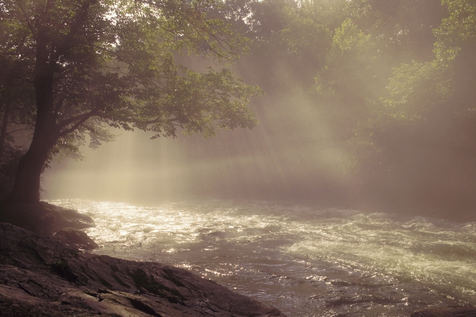 Imagem de capa - Reme contra a correnteza