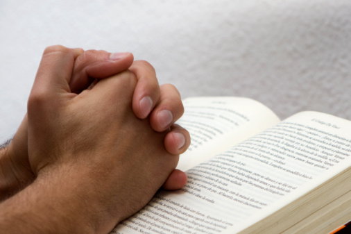 Imagem de capa - Bíblia em 1 ano - Leia o 205º dia