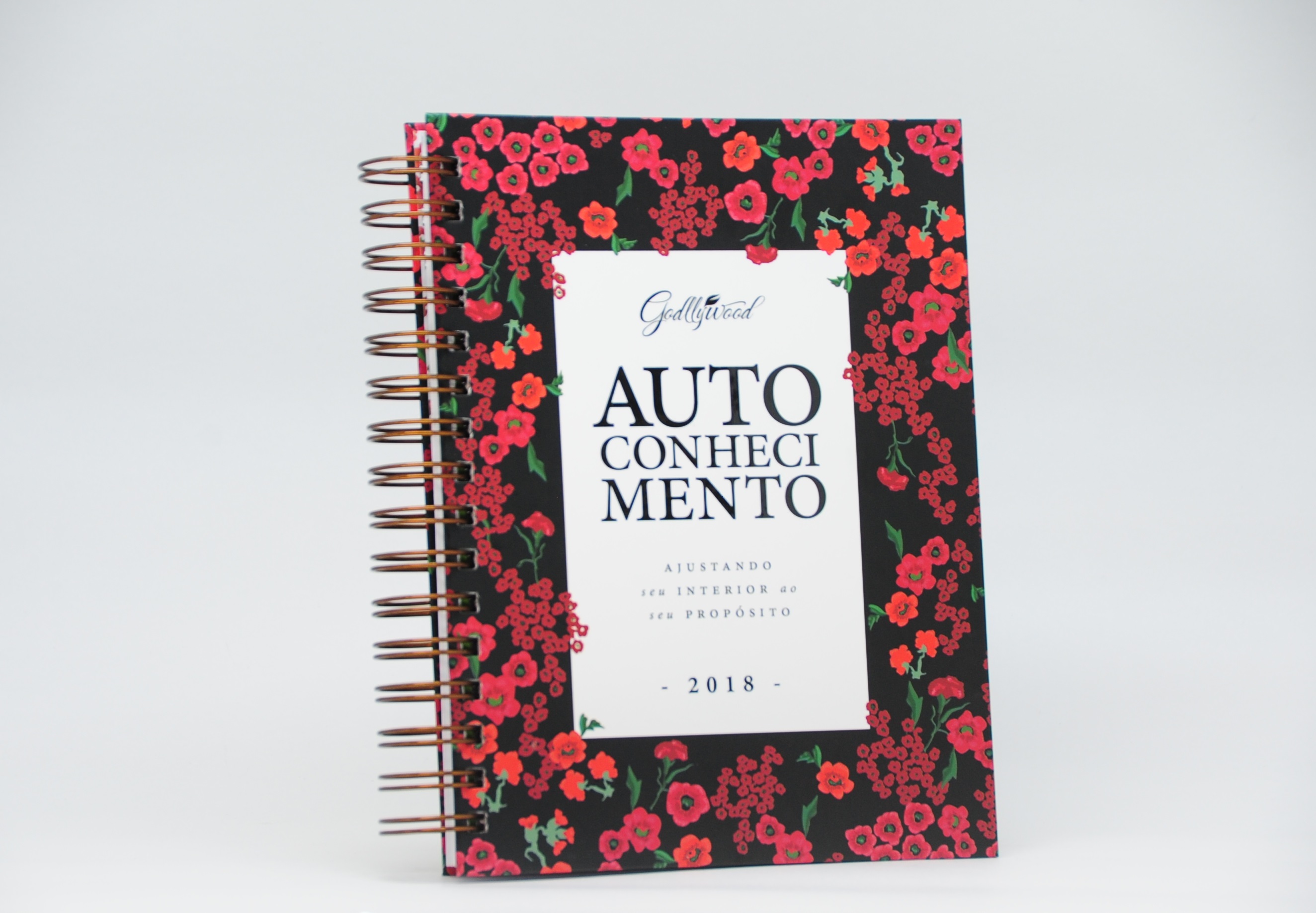 Lançamento: Planner Godllywood 2018 já está disponível