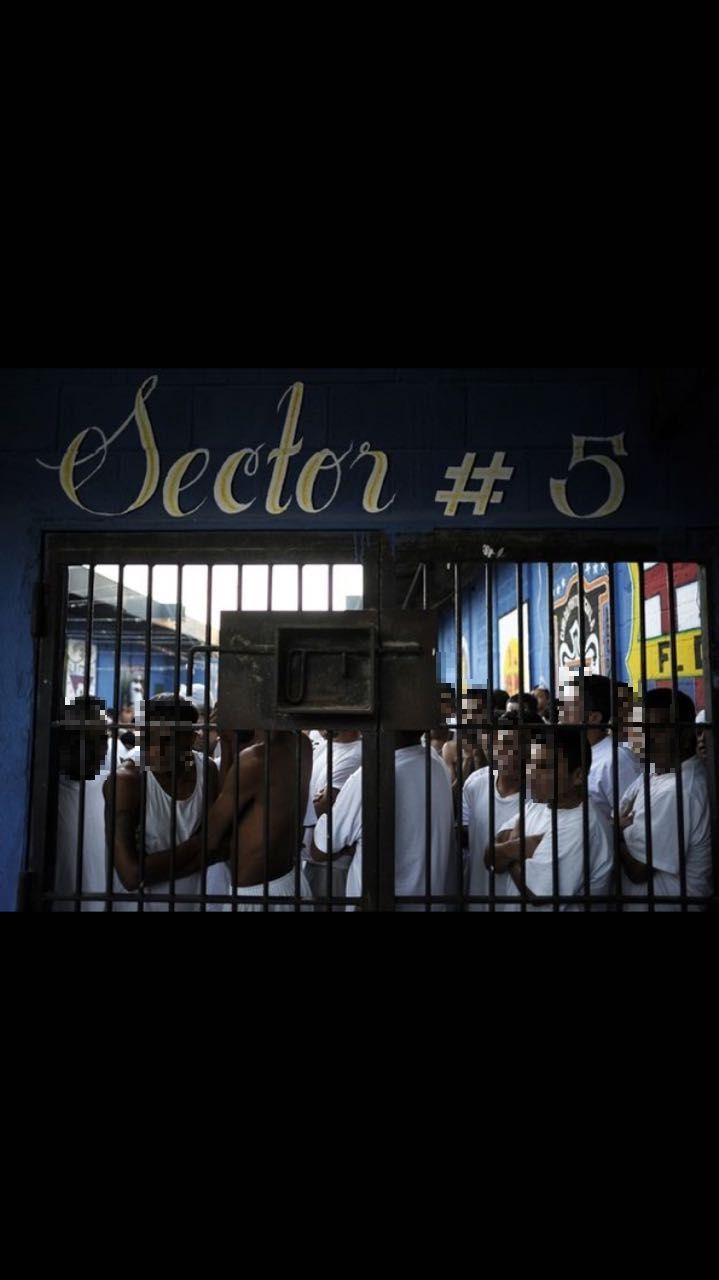 Imagem de capa - Recomeço em um dos países mais violentos do mundo