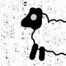 10,000 Sheep 10,000 Sheep