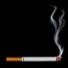 No Smoking, Ever No Smoking, Ever
