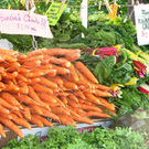 Controveggie: The Green Cart Bill Controveggie: The Green Cart Bill