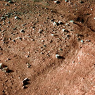 Spiders From Mars