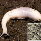New Slug New Slug