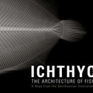 Photo-Ichthyology Photo-Ichthyology