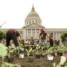 Slow Food Nation: Victory Gardens Slow Food Nation: Victory Gardens