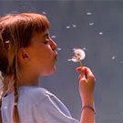 What's So Bad About Warm Summer Days
