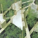 Ewok Villages Ewok Villages