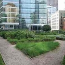 Green Building Growth