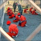 Blogging Gitmo