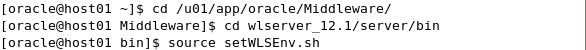 Screenshot for Step