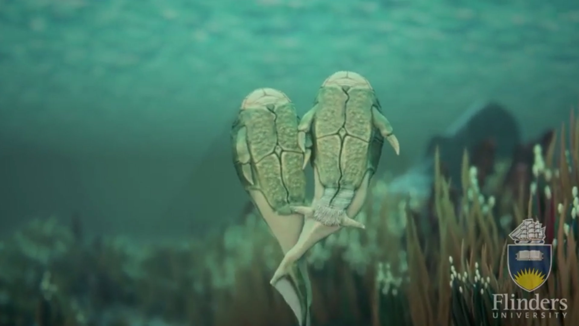 Scientists discover the origins of copulation The Washington Post