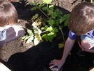 project-012-project-urban-raingarden