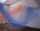 The Venice Architecture Biennale