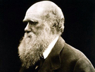 Church of England to Darwin: Sorry About that Thing 200 Years Ago