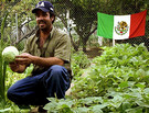 New Doc Chronicles Threat to South Central L.A. Garden