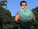 Circle Rules Football
