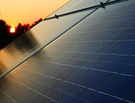 Sustainable Stimulus