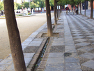 project-010-nature-make-your-yard