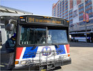 Should Public Transportation Be Free?