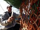 The Growth of Community-supported Foodstuffs