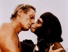 Guess Which Animal Is Most Like Humans? (Hint: It's Not Chimps)