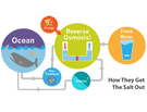 Seawater: Our Only Hope for a Drink
