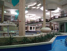 What Should We Do with Deserted Malls?