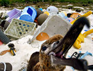 Project Kaisei Tackles the Infamous Island of Trash