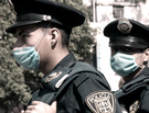 Swine Flu: A Primer