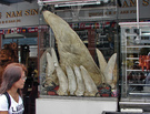 More Sharks to Keep Fins