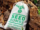 New Weapon for the Guerrilla Gardener: Seed Bombs