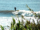 Celebrate International Surfing Day: Clean the Beach