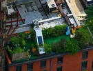 A Visual Feast of Rooftop Gardens 
