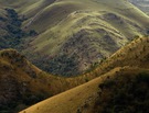 Emails from Afar: Swaziland Edition