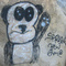 steven leckart steven leckart