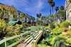 North_pacific_c309___0102_thumb