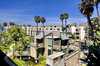 North_pacific_c309___0104_thumb