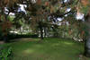 1905_thumb