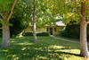 Ave_manana_front_thumb