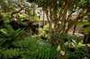 North_pacific_street_for_sale_0105_thumb