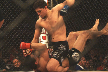 http://s3.amazonaws.com/prod-sho-sports/images/10293/large.jpg?1294466342